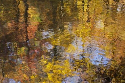 River;Patterns;River Bed;Blue;Riverbed;Abstractions;Tennessee;waterway;Fall;Great Smoky Mountains National Park;Reflection;Rivers;Abstract;Textures;Brook;Orange;Brown;Stream;United States;Reflections;Autumn;Water;Creek;Yellow;Gold;Shapes